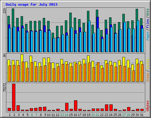 Daily usage for July 2013