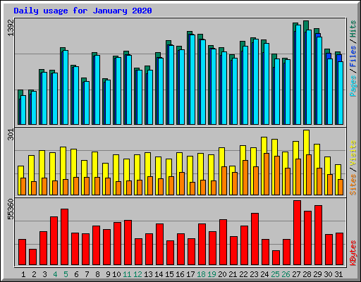 Daily usage for January 2020
