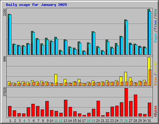 Daily usage for January 2025