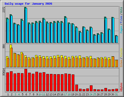 Daily usage for January 2026