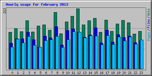 Hourly usage for February 2013