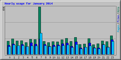 Hourly usage for January 2014