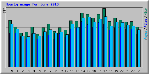 Hourly usage for June 2015
