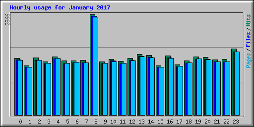 Hourly usage for January 2017