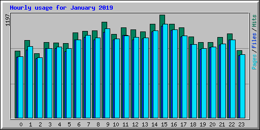 Hourly usage for January 2019