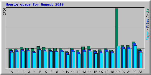 Hourly usage for August 2019