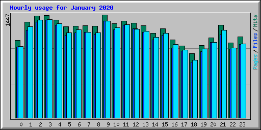 Hourly usage for January 2020