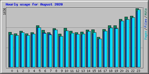 Hourly usage for August 2020
