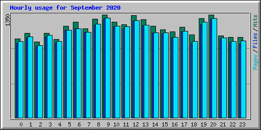 Hourly usage for September 2020