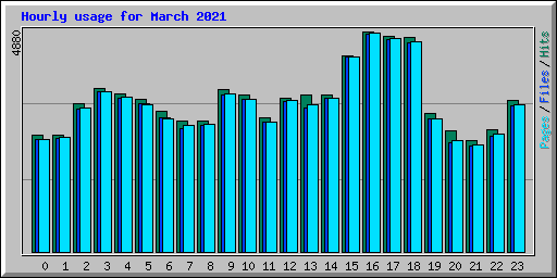 Hourly usage for March 2021