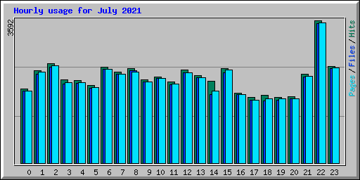 Hourly usage for July 2021