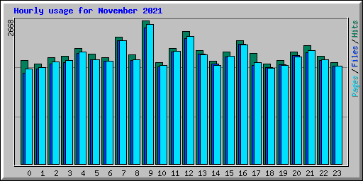 Hourly usage for November 2021