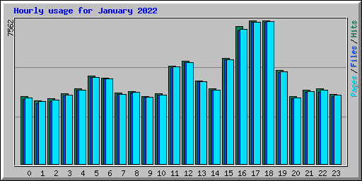 Hourly usage for January 2022
