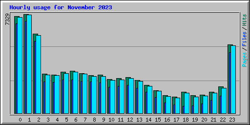 Hourly usage for November 2023