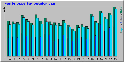 Hourly usage for December 2023