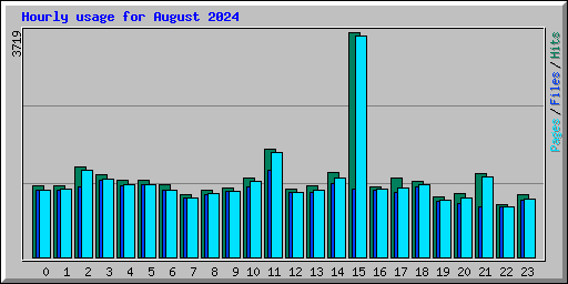 Hourly usage for August 2024