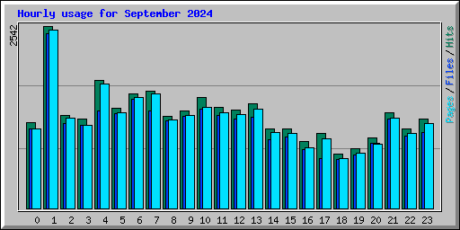 Hourly usage for September 2024