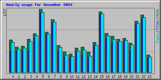 Hourly usage for December 2024