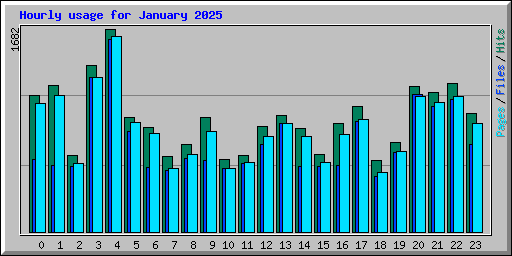 Hourly usage for January 2025