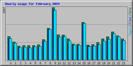 Hourly usage for February 2025