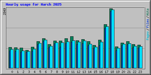 Hourly usage for March 2025
