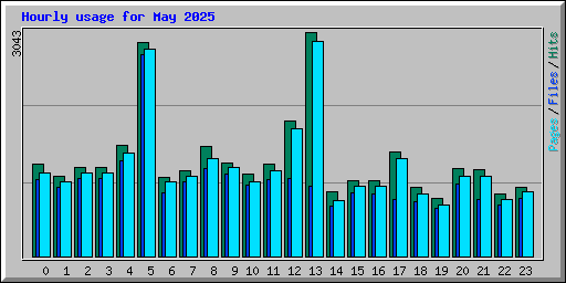 Hourly usage for May 2025