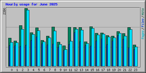 Hourly usage for June 2025