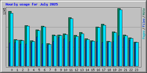 Hourly usage for July 2025