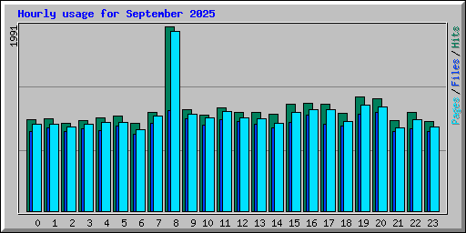 Hourly usage for September 2025